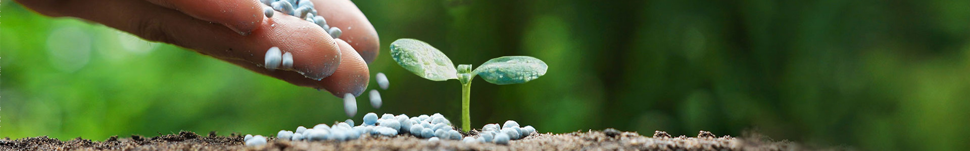 青島海潤華瑞生物科技有限公司